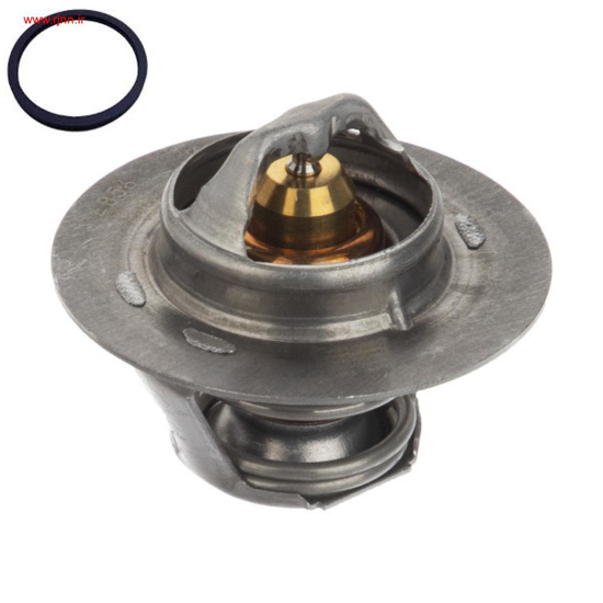 تصویر از ترموستات 83 درجه 405 با اورینگ الکا