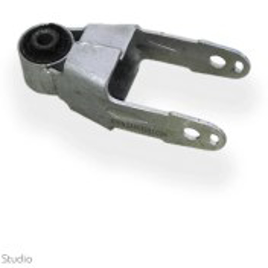 تصویر از دوشاخ رام رانایی KAPLAN